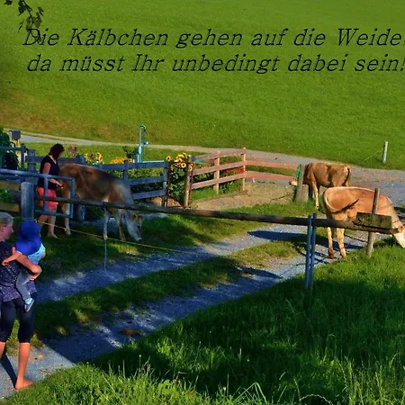 Apartmán Muehlenhof *